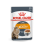 ROYAL CANIN FCN WET 85Gx12 INTENSE BEAUTY IN GRAVY KATĖMS