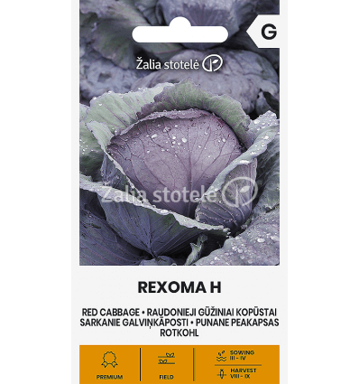 KOPŪSTAI R/G REXOMA H