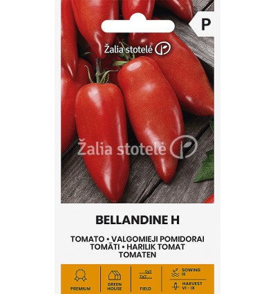 POMIDORAI VALGOMIEJI BELLANDINE H