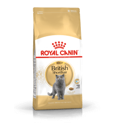 ROYAL CANIN FBN 10KG BRITISH SHORTHAIR KATĖMS