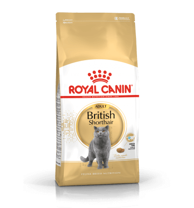 ROYAL CANIN FBN 10KG BRITISH SHORTHAIR KATĖMS