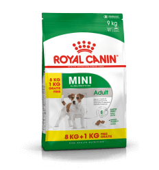 ROYAL CANIN SHN 8+1KG MINI ADULT ŠUNIMS