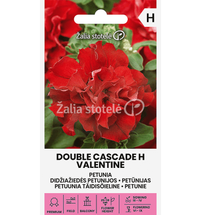 PETUNIJOS DIDŽIAŽIEDĖS DOUBLE CASCADE H VALENTINE