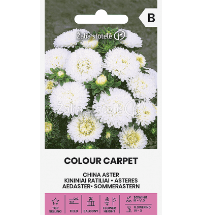 KININIAI RATILIAI COLOUR CARPET WHITE