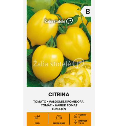 POMIDORAI VALGOMIEJI CITRINA