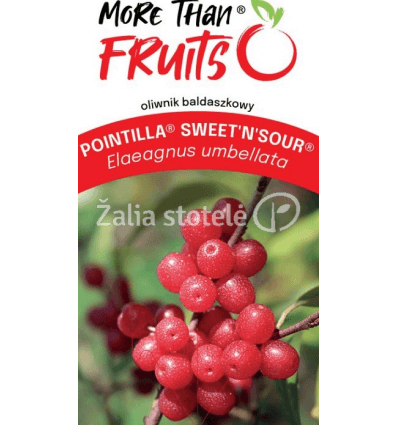 ŽILAKRŪMIS UMBELLATA SWEET NSOUR