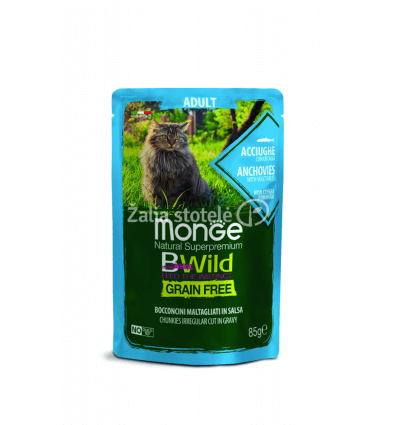 MONGE BWILD CAT POUCHES GRAIN FREE ADULT ANCHOVIES AND VEGETABLES 85G KATĖMS