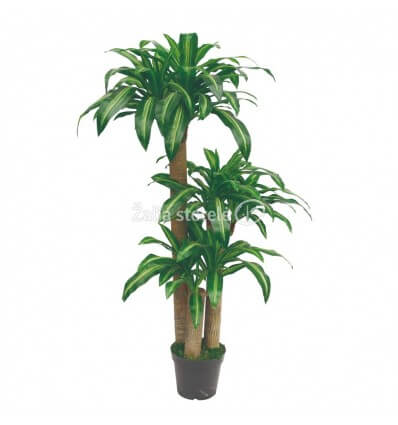 DIRBTINĖ DRACENA 150CM JWS1760-1