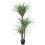 DIRBTINĖ DRACENA 180CM JWT3159