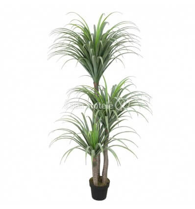 DIRBTINĖ DRACENA 180CM JWT3159