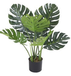 DIRBTINĖ MONSTERA 65CM JWS3022