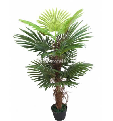 DIRBTINĖ PALMĖ 120CM JWS3077