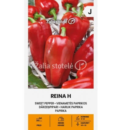 PAPRIKA VIENAMETĖ REINA H