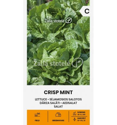 SĖJAMOSIOS SALOTOS CRISP MINT