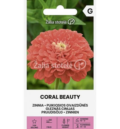 GVAIZDŪNĖS PUIKIOSIOS CORAL BEAUTY