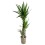 JUKA (YUCCA) 90-45-20 24Ø130H