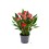 ANTURIS MILLION FLOWERS RED 12Ø43H