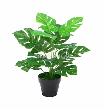 DIRBTINĖ MONSTERA 45CM JWS2026-2